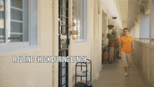 Random check being conducted during flyer distribution